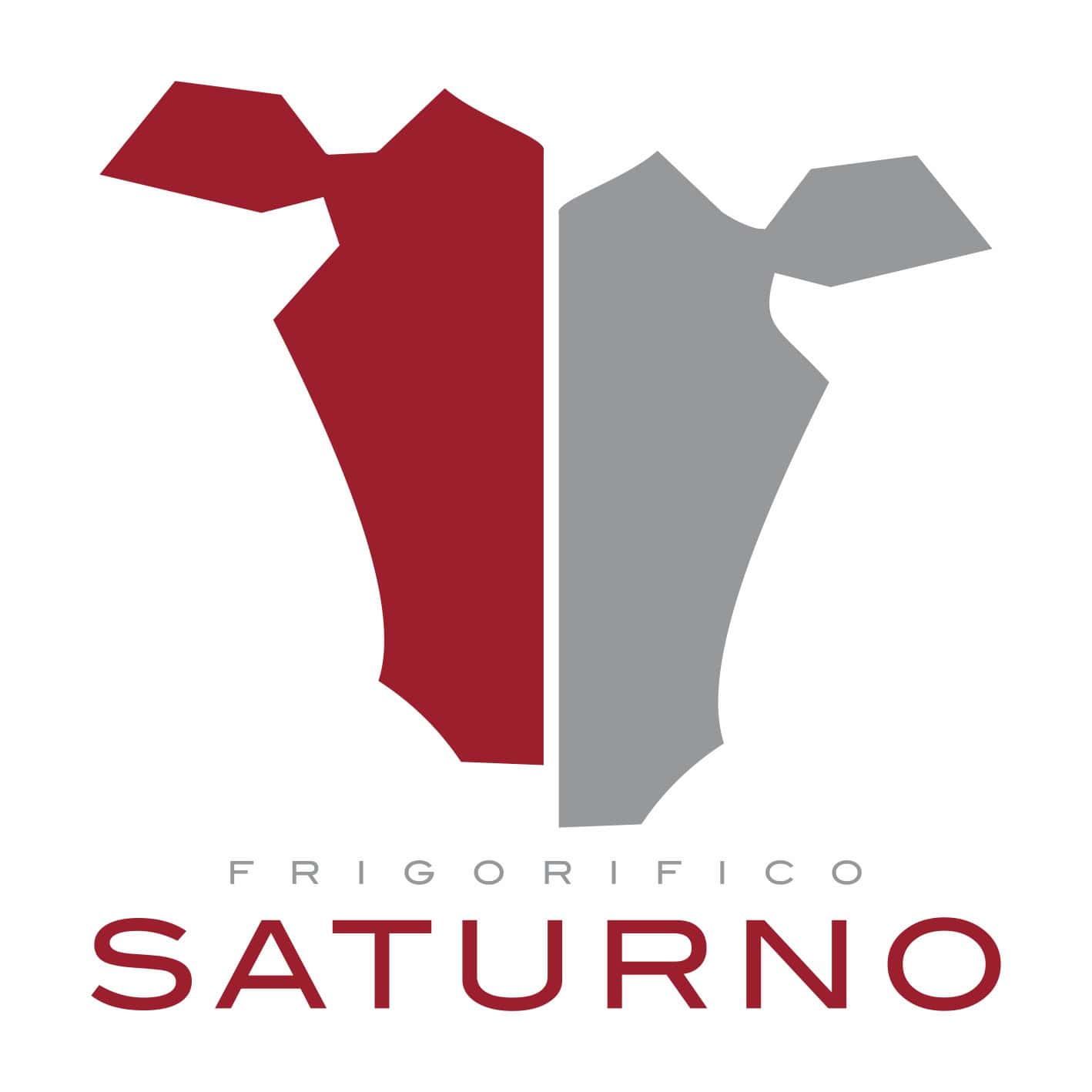 logo Saturno